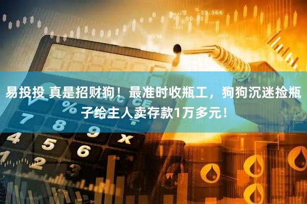 易投投 真是招财狗！最准时收瓶工，狗狗沉迷捡瓶子给主人卖存款1万多元！