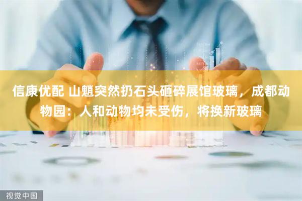 信康优配 山魈突然扔石头砸碎展馆玻璃，成都动物园：人和动物均未受伤，将换新玻璃