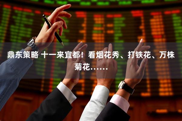 鼎东策略 十一来宜都！看烟花秀、打铁花、万株菊花……